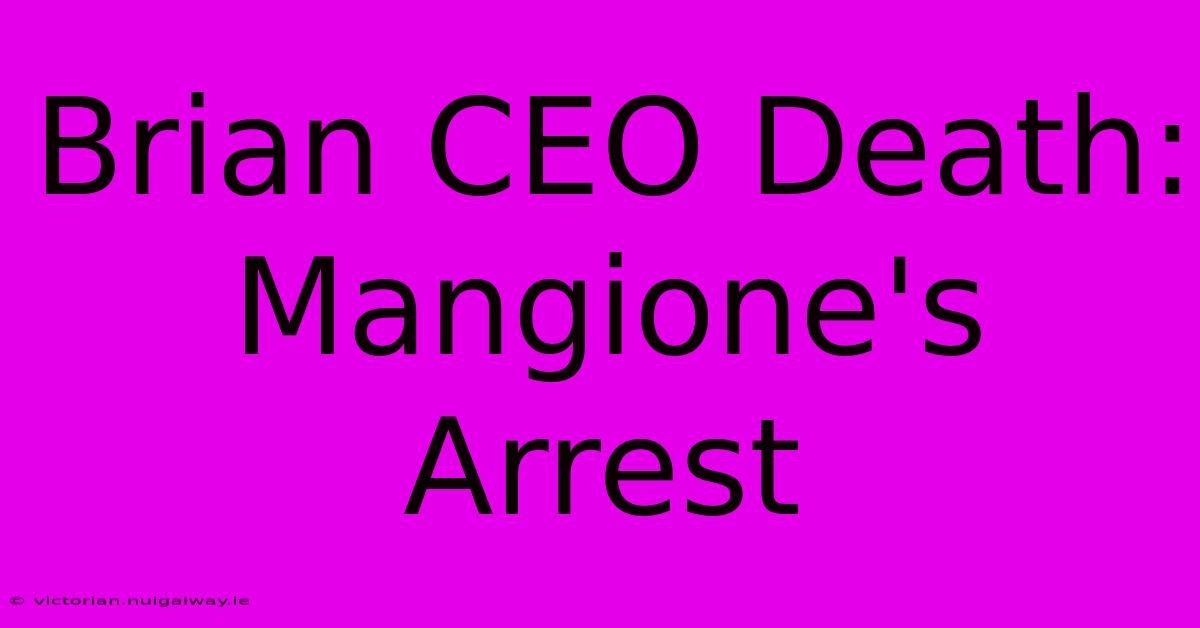 Brian CEO Death: Mangione's Arrest