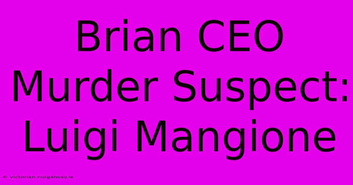 Brian CEO Murder Suspect: Luigi Mangione