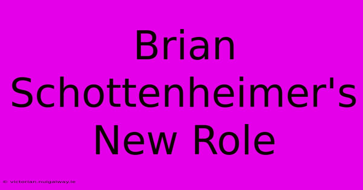 Brian Schottenheimer's New Role