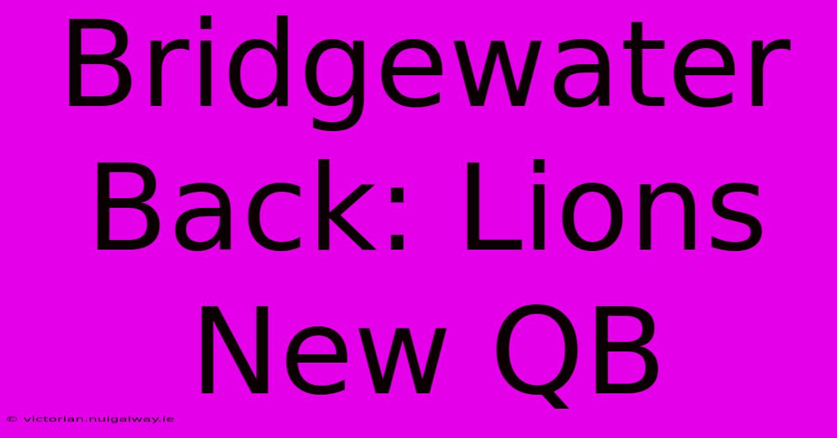 Bridgewater Back: Lions New QB