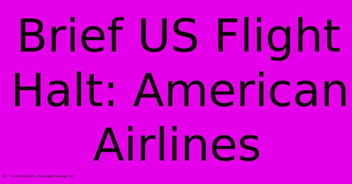 Brief US Flight Halt: American Airlines