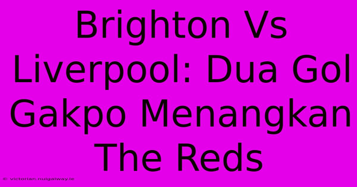 Brighton Vs Liverpool: Dua Gol Gakpo Menangkan The Reds