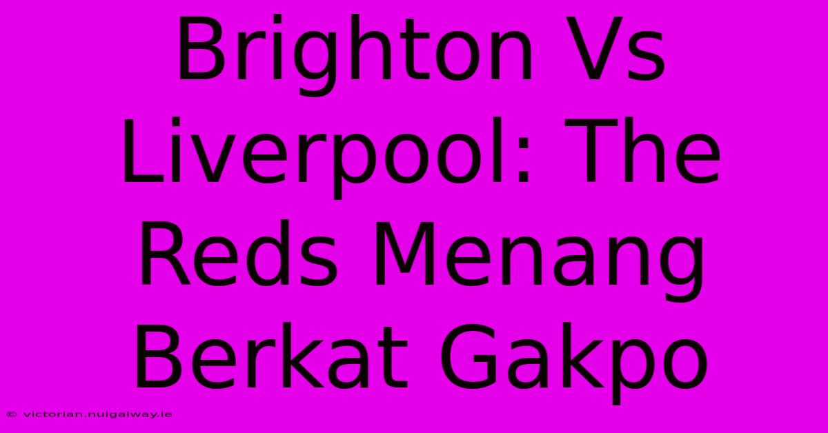 Brighton Vs Liverpool: The Reds Menang Berkat Gakpo