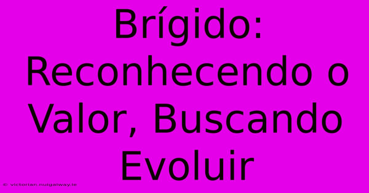 Brígido: Reconhecendo O Valor, Buscando Evoluir