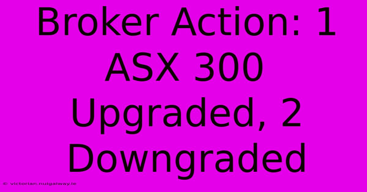 Broker Action: 1 ASX 300 Upgraded, 2 Downgraded 