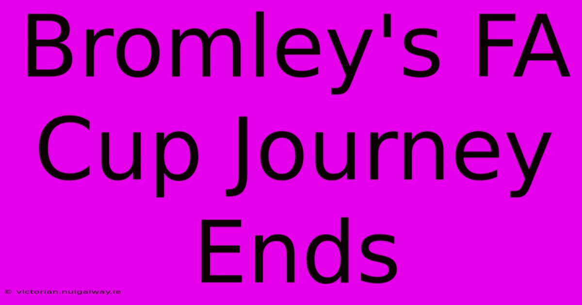 Bromley's FA Cup Journey Ends