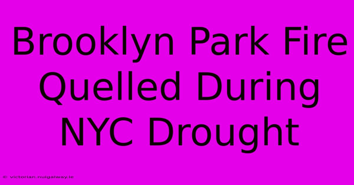 Brooklyn Park Fire Quelled During NYC Drought