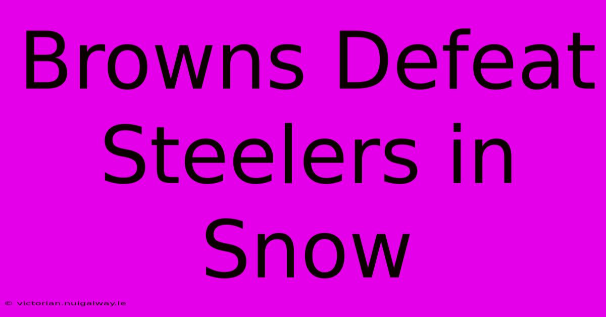 Browns Defeat Steelers In Snow