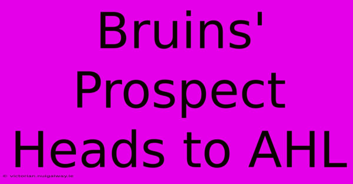 Bruins' Prospect Heads To AHL