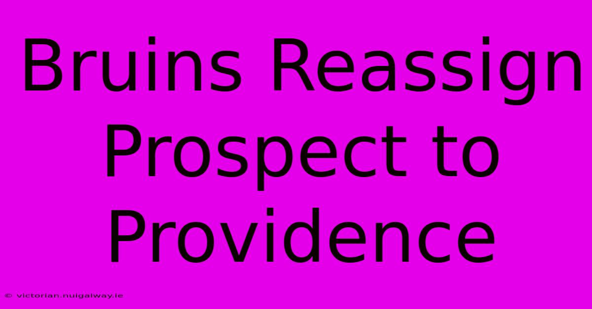 Bruins Reassign Prospect To Providence