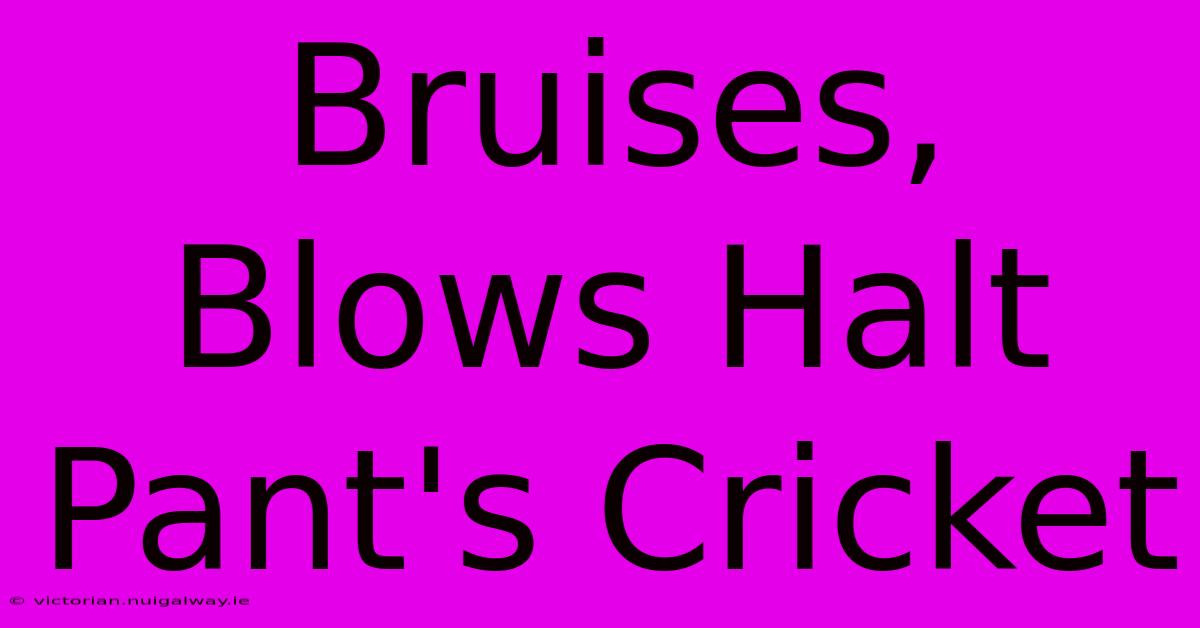 Bruises, Blows Halt Pant's Cricket