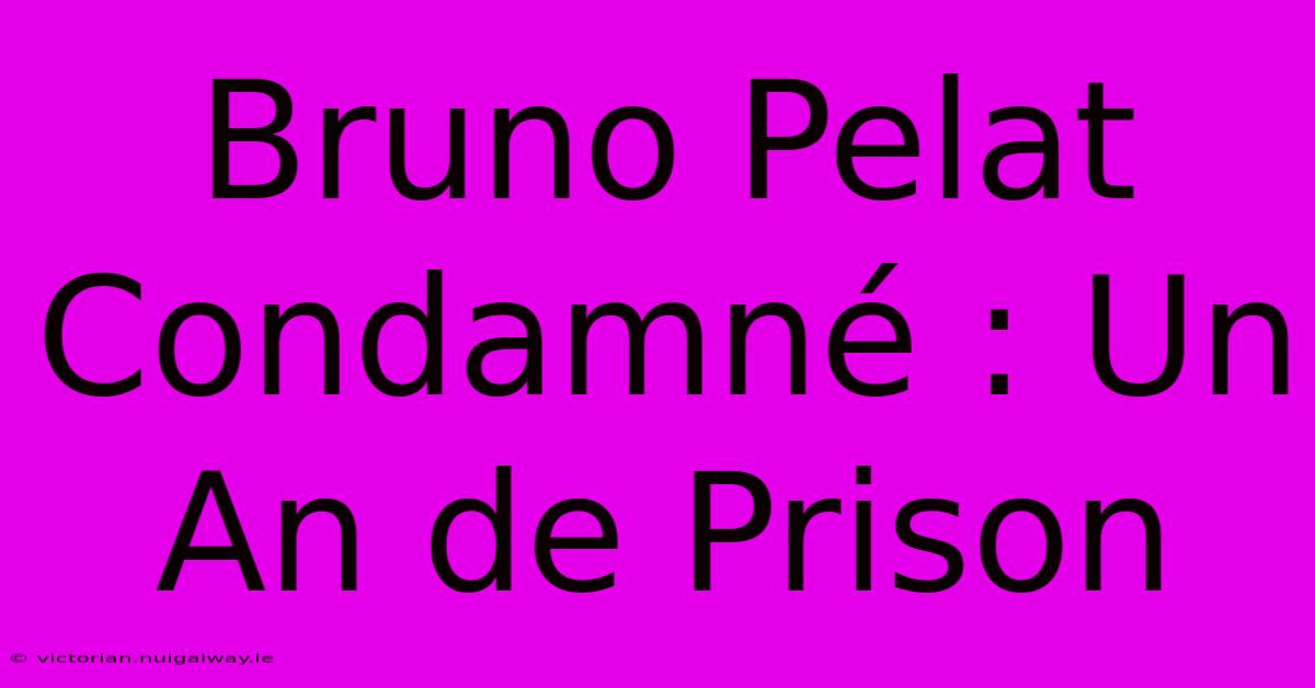 Bruno Pelat Condamné : Un An De Prison