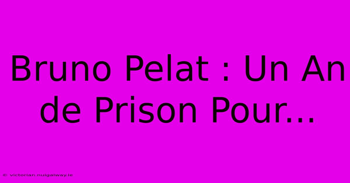 Bruno Pelat : Un An De Prison Pour...