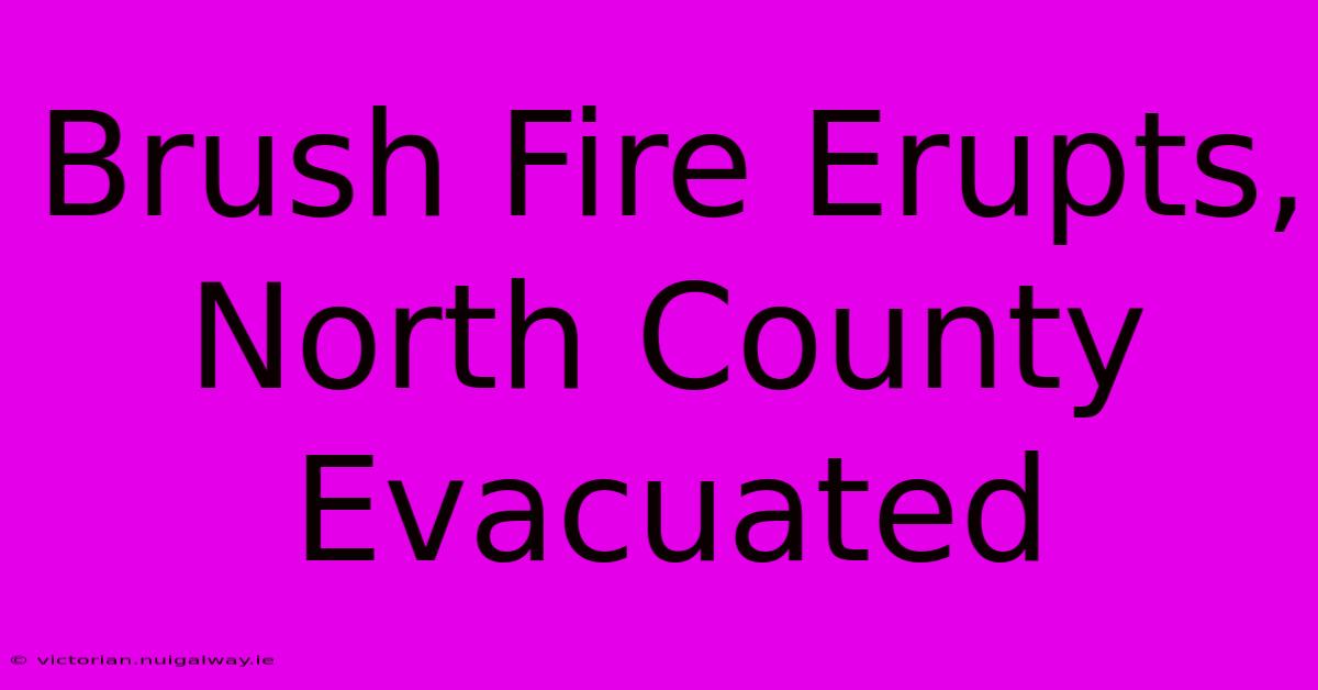 Brush Fire Erupts, North County Evacuated