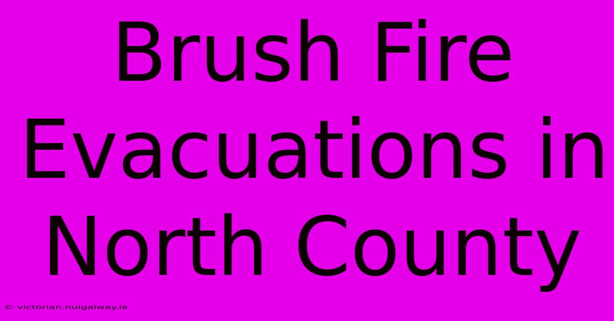 Brush Fire Evacuations In North County