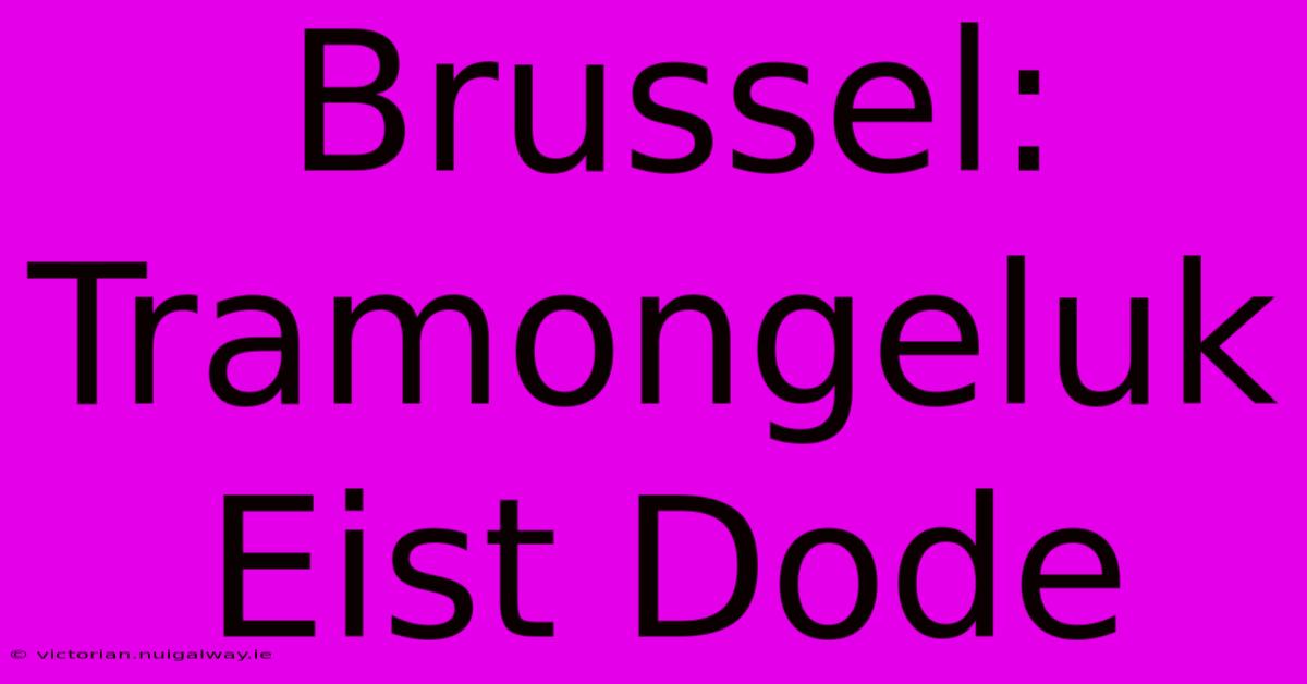 Brussel: Tramongeluk Eist Dode 