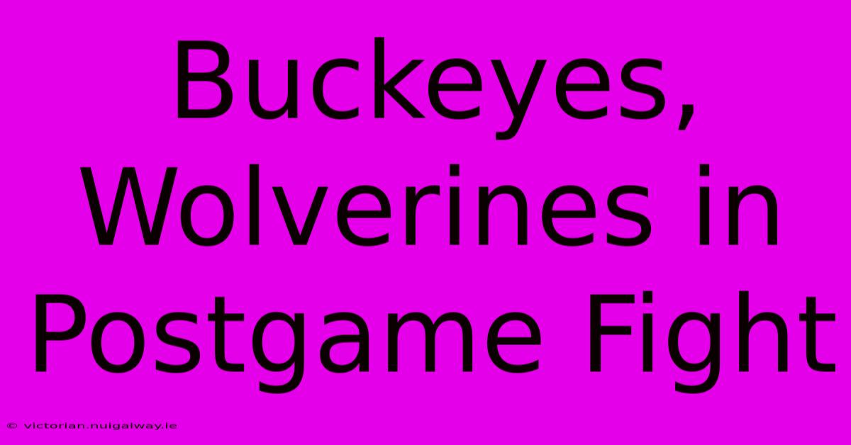 Buckeyes, Wolverines In Postgame Fight