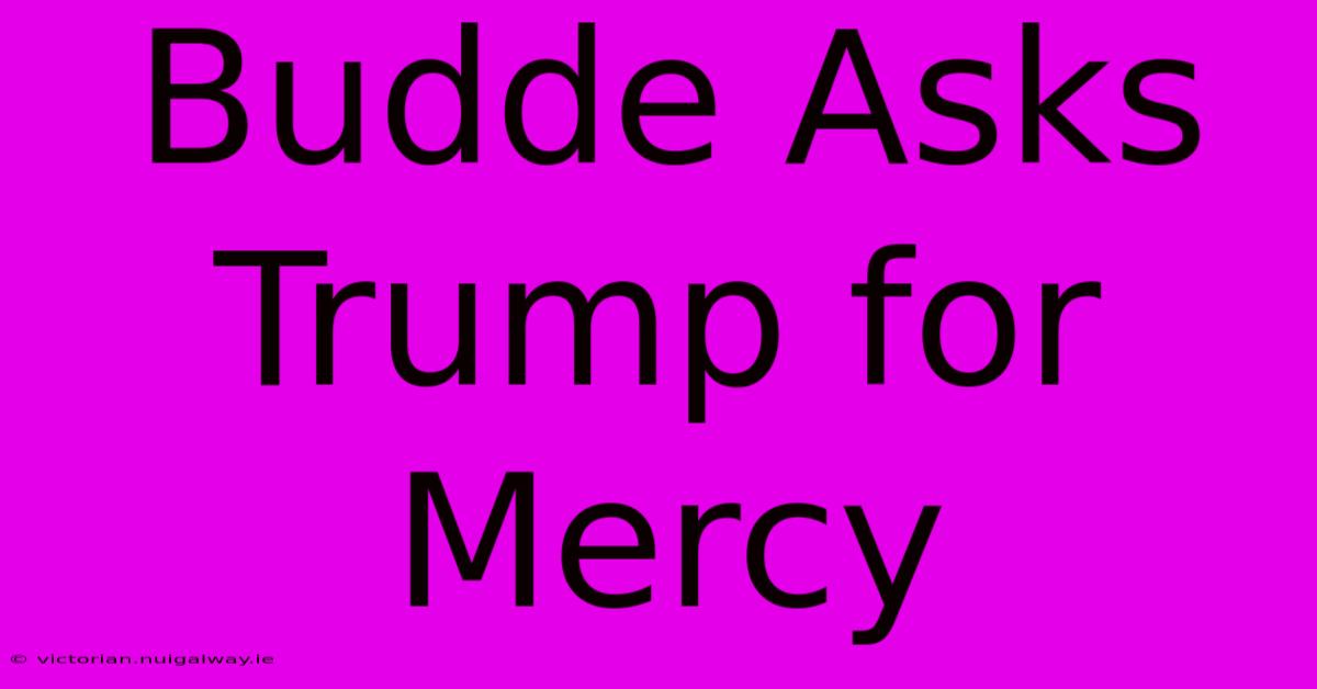 Budde Asks Trump For Mercy