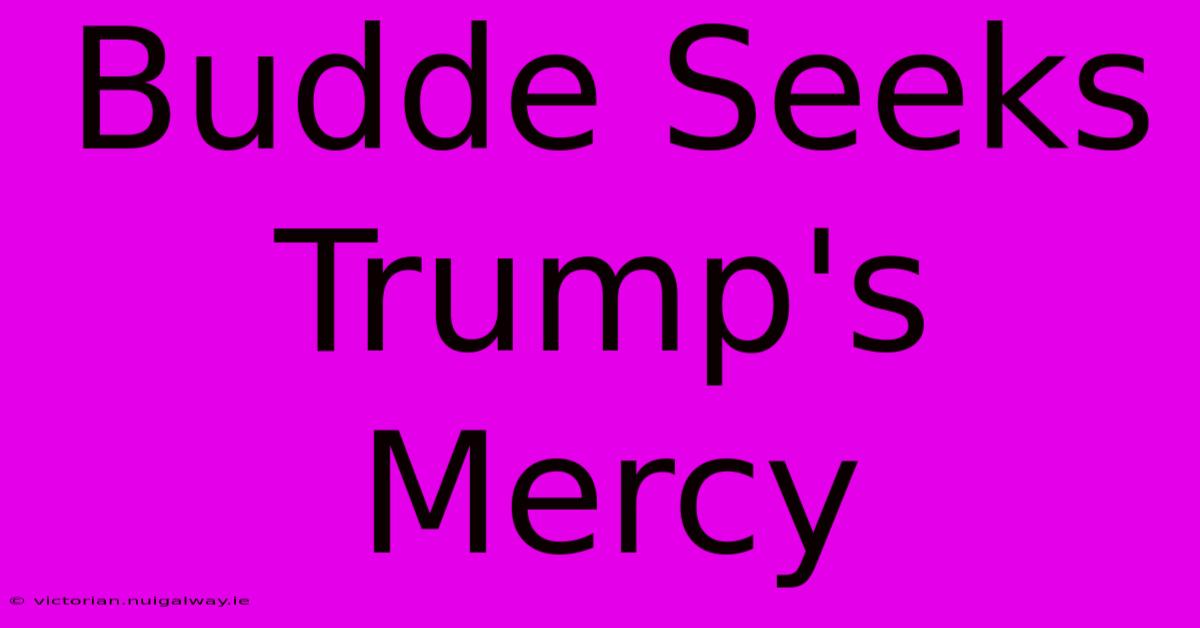 Budde Seeks Trump's Mercy