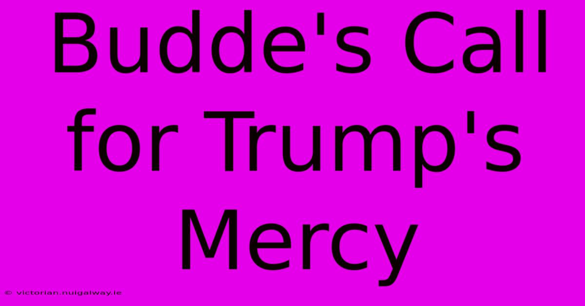 Budde's Call For Trump's Mercy