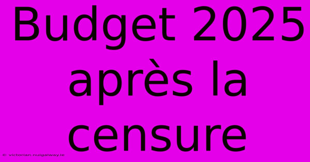 Budget 2025 Après La Censure