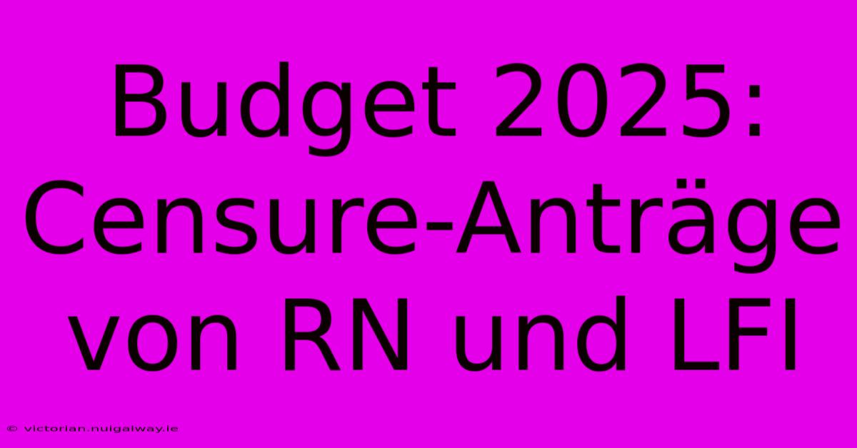 Budget 2025: Censure-Anträge Von RN Und LFI