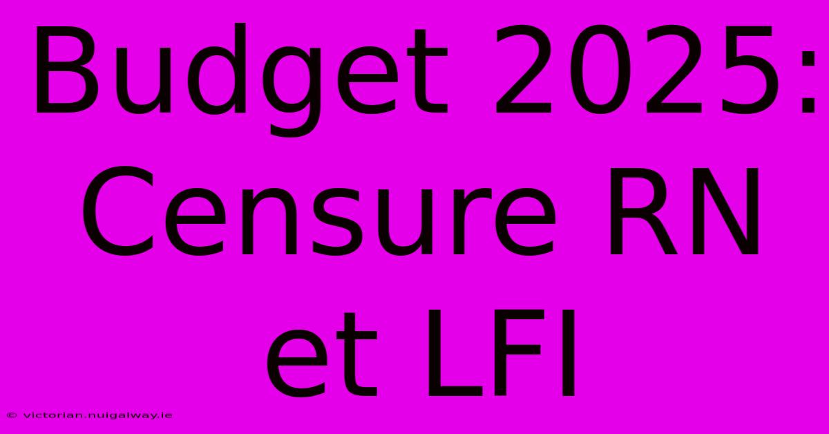 Budget 2025: Censure RN Et LFI