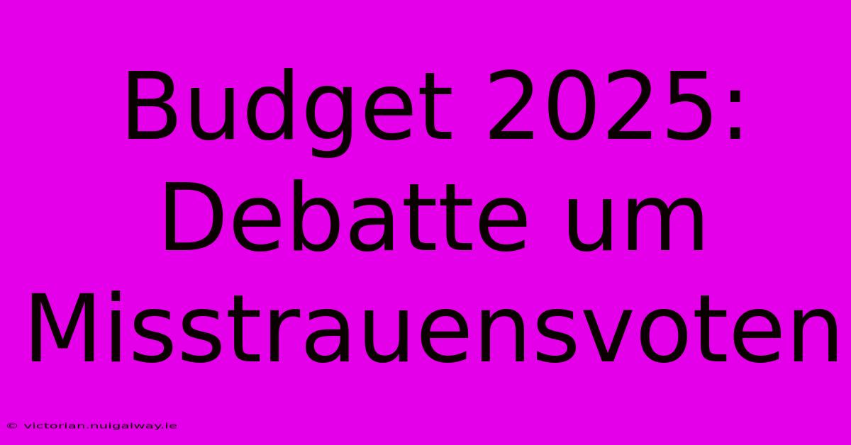 Budget 2025:  Debatte Um Misstrauensvoten