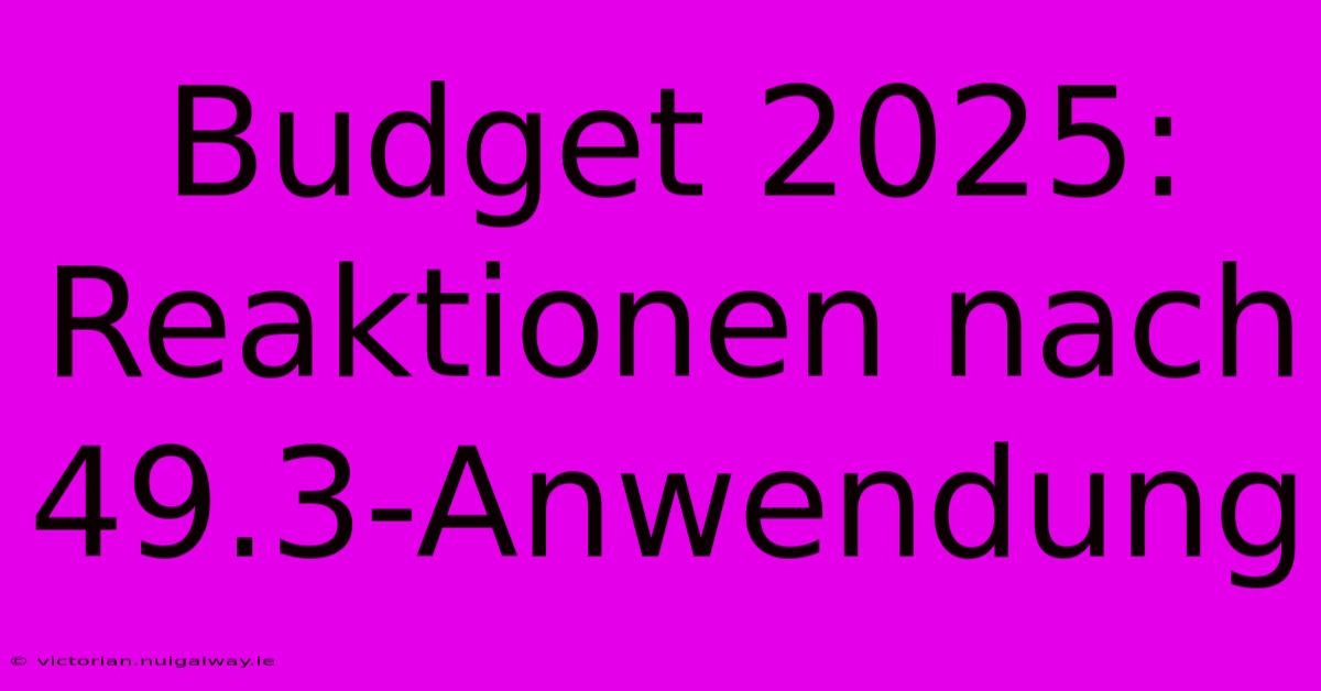 Budget 2025: Reaktionen Nach 49.3-Anwendung