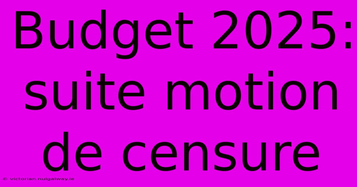 Budget 2025: Suite Motion De Censure