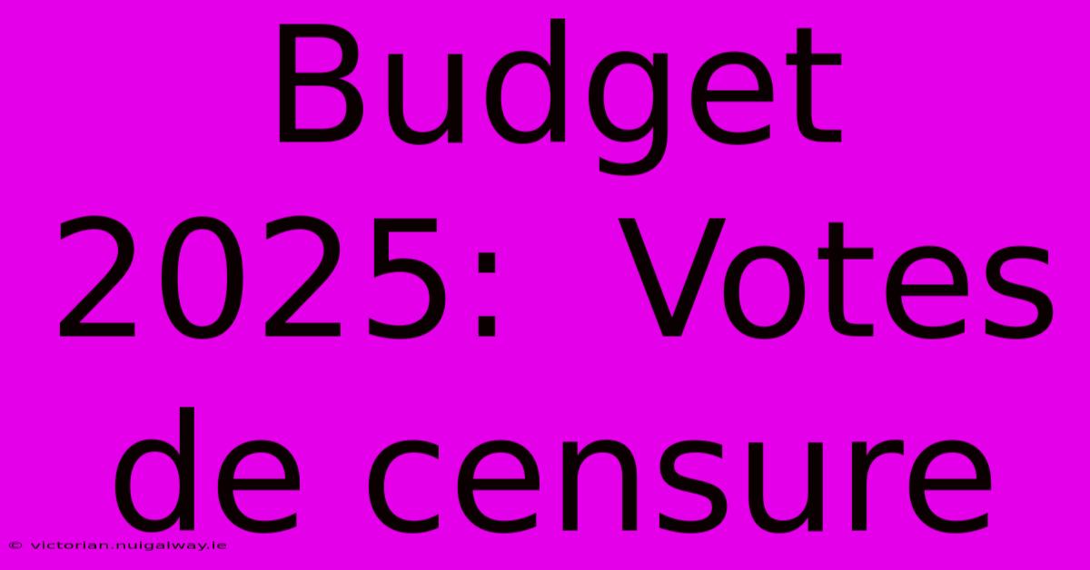 Budget 2025:  Votes De Censure