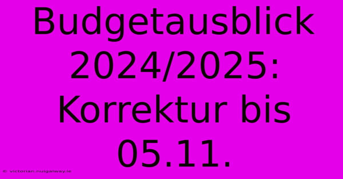 Budgetausblick 2024/2025: Korrektur Bis 05.11.