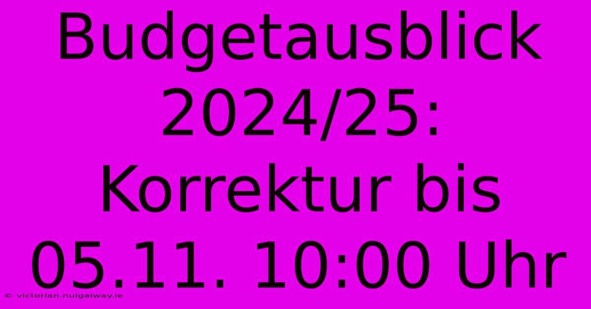 Budgetausblick 2024/25: Korrektur Bis 05.11. 10:00 Uhr