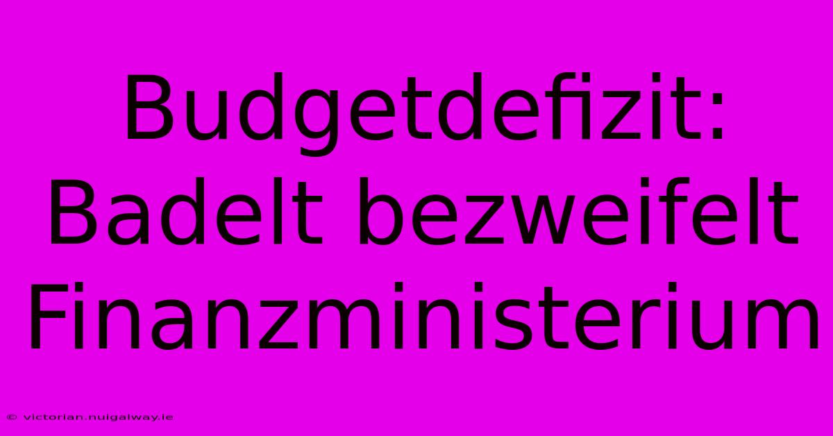 Budgetdefizit: Badelt Bezweifelt Finanzministerium