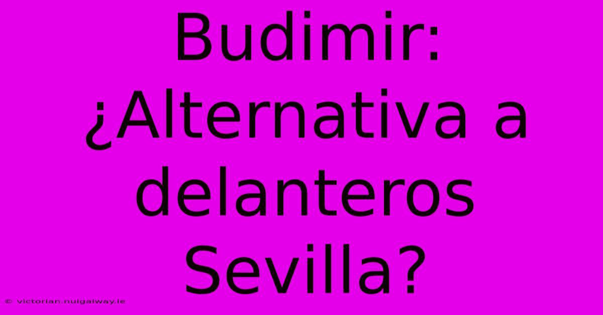 Budimir: ¿Alternativa A Delanteros Sevilla?