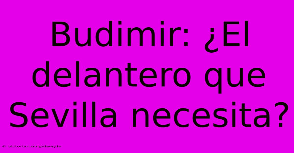 Budimir: ¿El Delantero Que Sevilla Necesita?