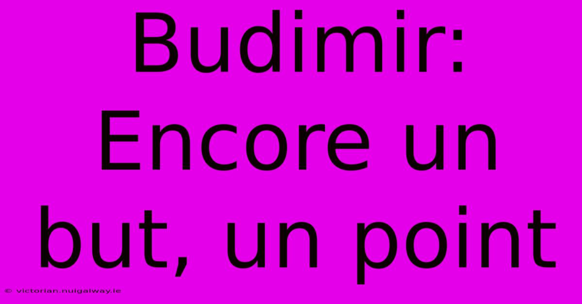 Budimir: Encore Un But, Un Point