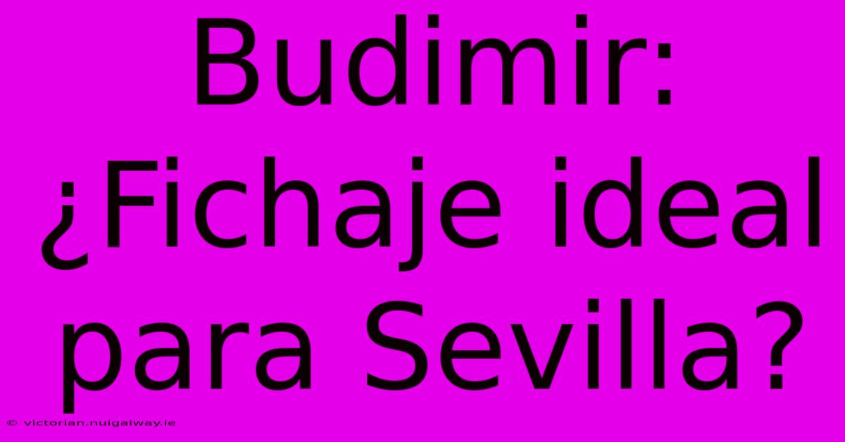 Budimir: ¿Fichaje Ideal Para Sevilla?