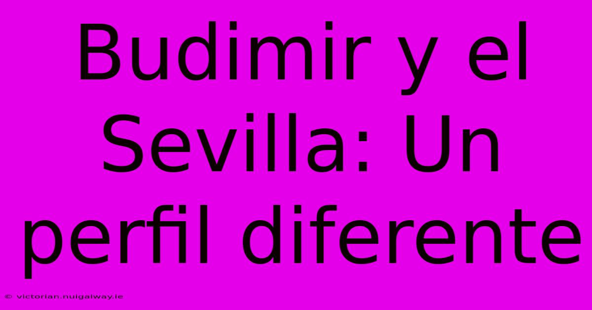 Budimir Y El Sevilla: Un Perfil Diferente