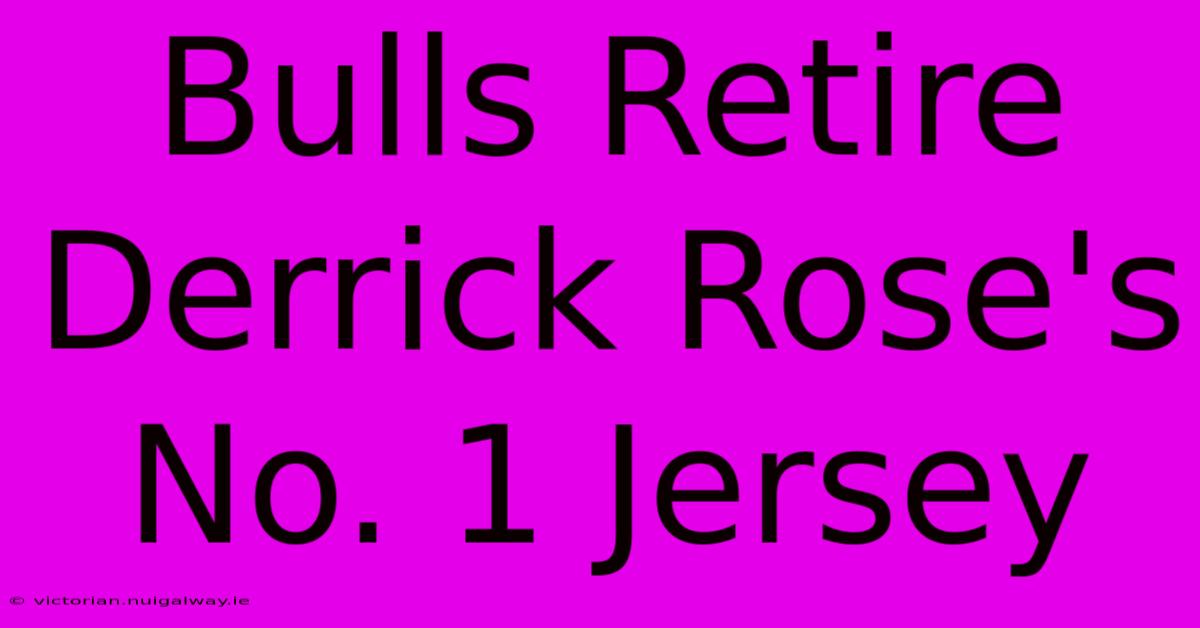 Bulls Retire Derrick Rose's No. 1 Jersey