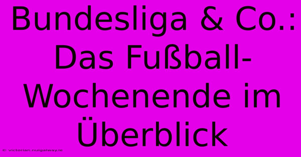 Bundesliga & Co.: Das Fußball-Wochenende Im Überblick