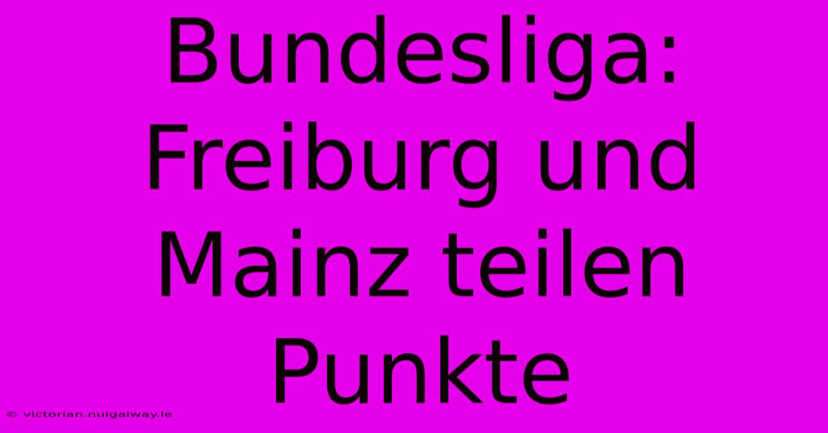 Bundesliga: Freiburg Und Mainz Teilen Punkte