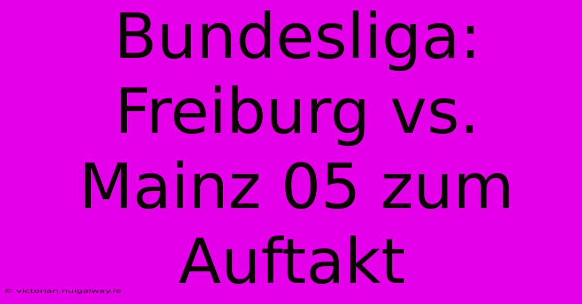 Bundesliga: Freiburg Vs. Mainz 05 Zum Auftakt