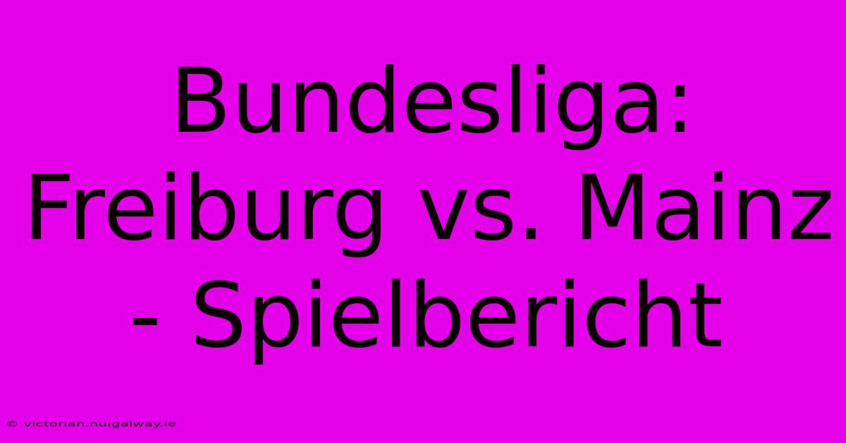 Bundesliga: Freiburg Vs. Mainz - Spielbericht