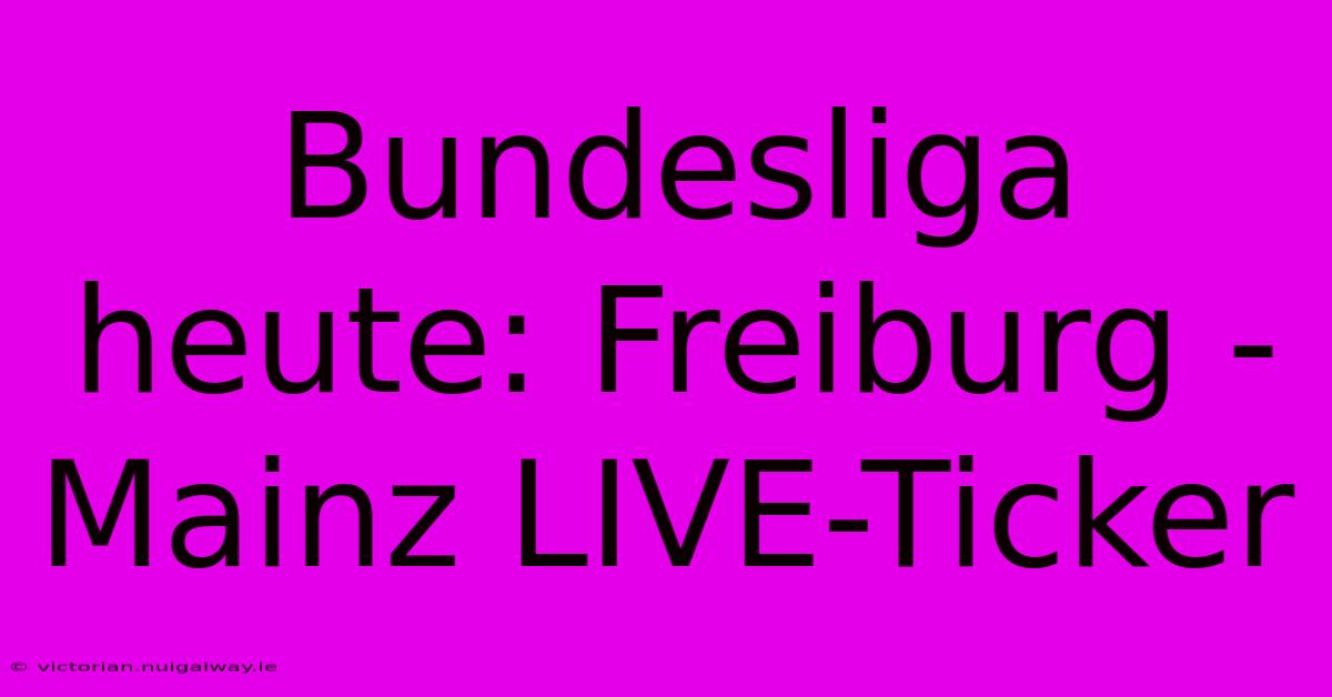 Bundesliga Heute: Freiburg - Mainz LIVE-Ticker 