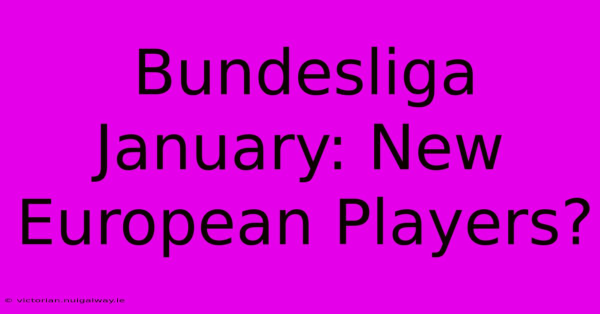 Bundesliga January: New European Players?