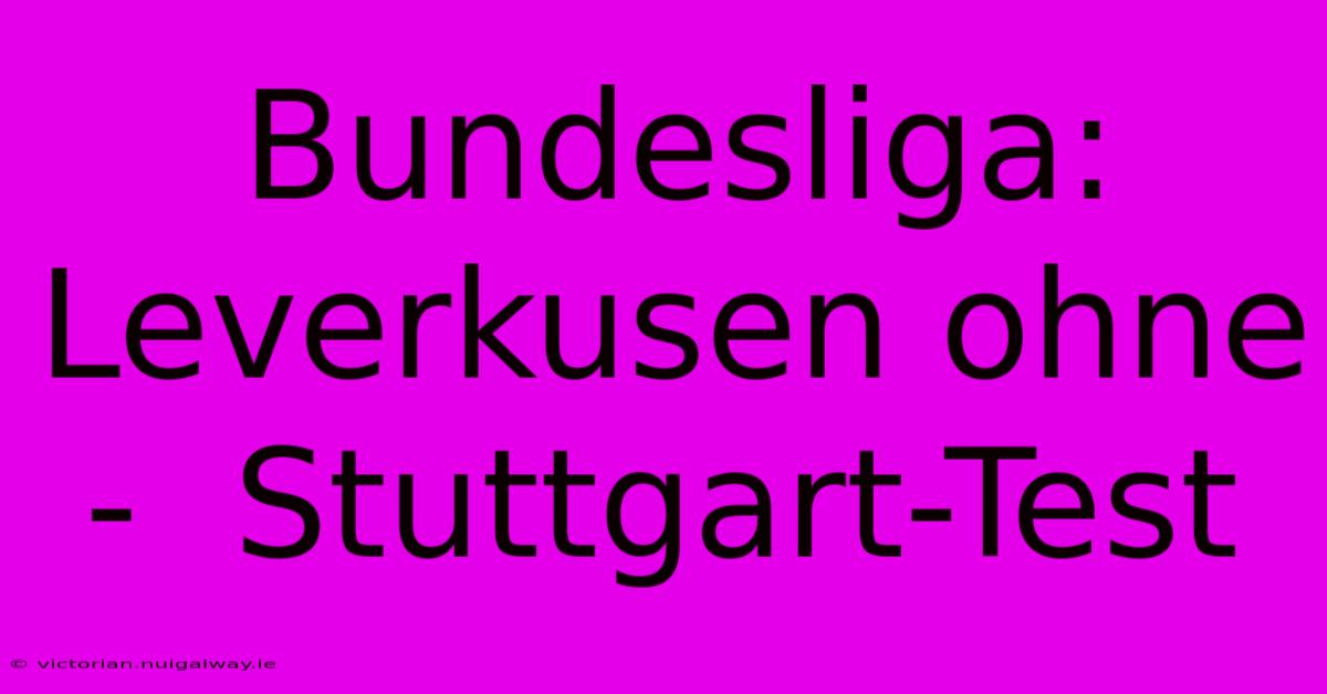 Bundesliga: Leverkusen Ohne  -  Stuttgart-Test 