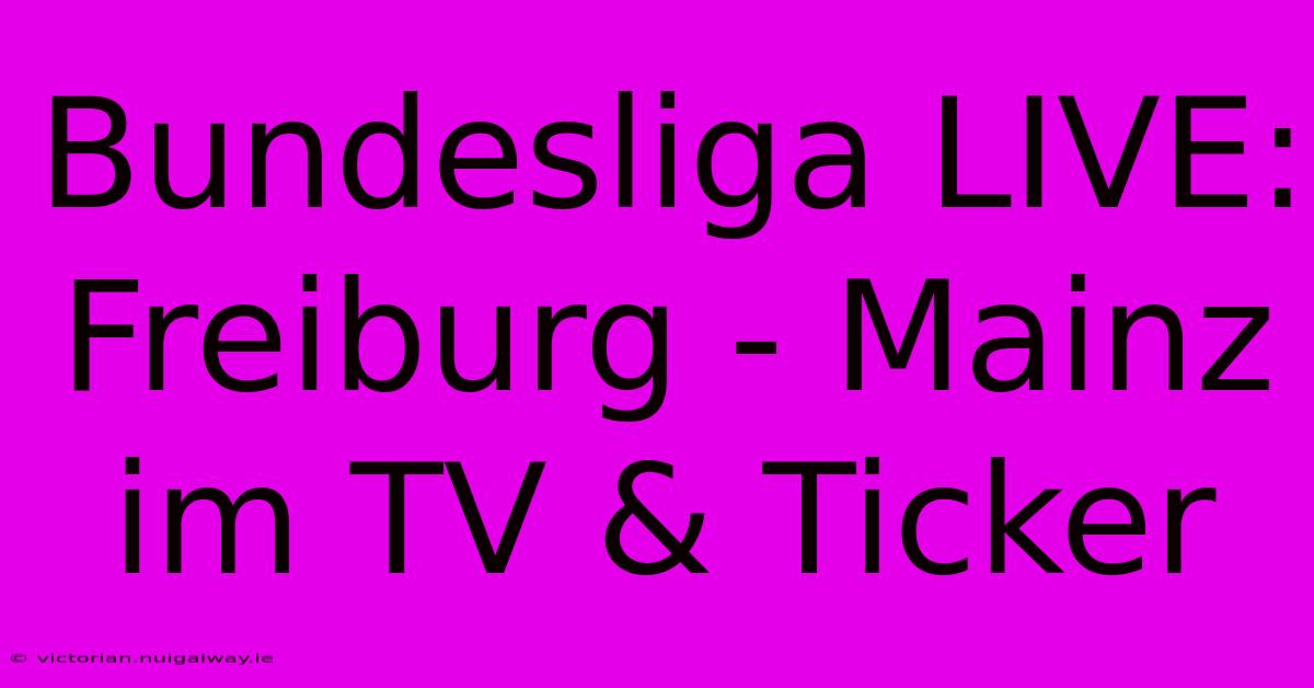 Bundesliga LIVE: Freiburg - Mainz Im TV & Ticker