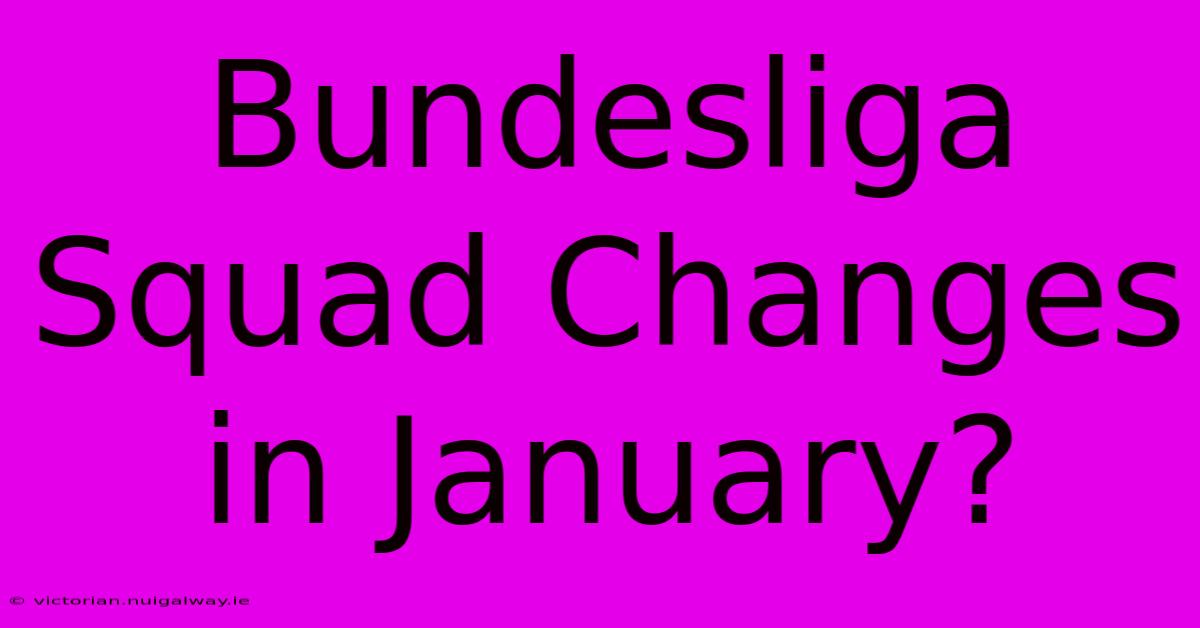 Bundesliga Squad Changes In January?