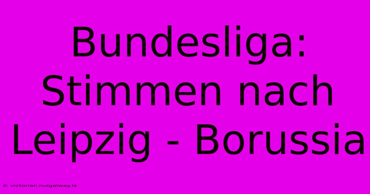 Bundesliga: Stimmen Nach Leipzig - Borussia